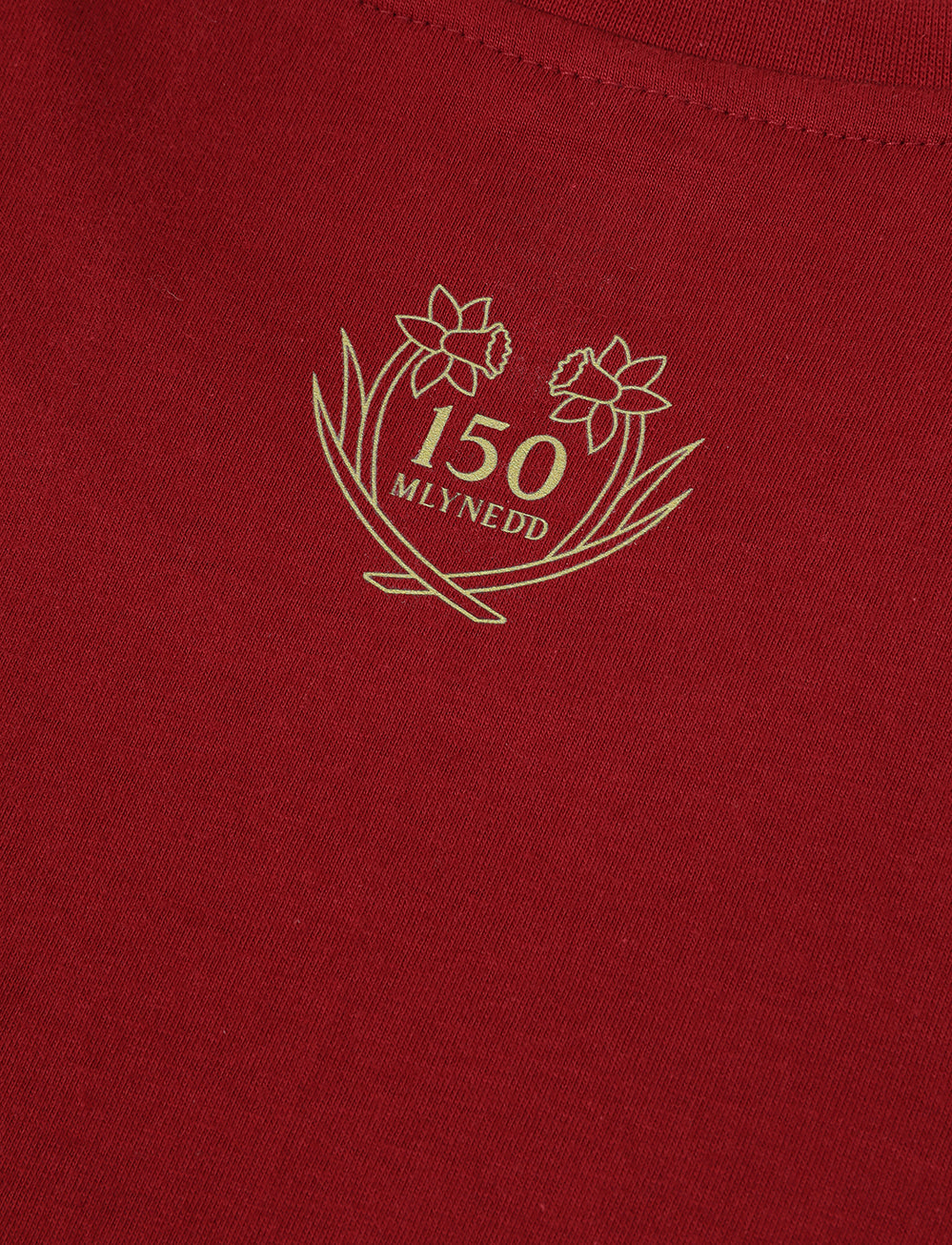 Official Team Wales 150th Anniversary T-Shirt - Burgundy - The World Football Store
